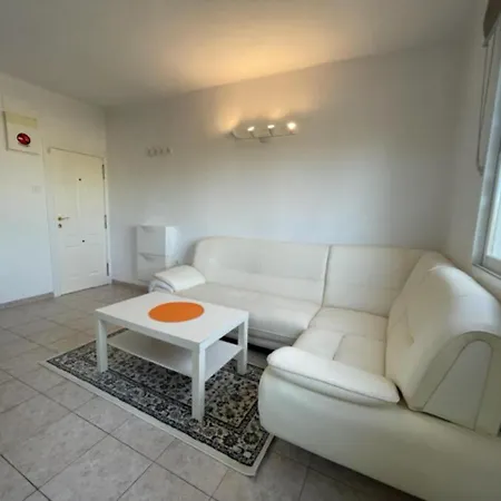 Sark In Apartment *